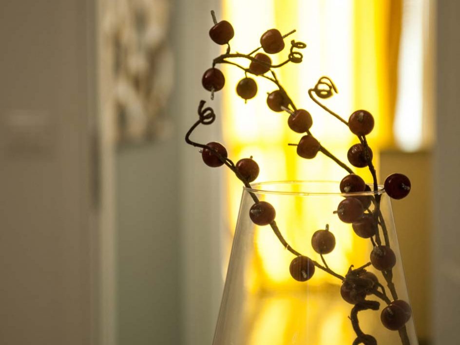 Appartamento Ulivo - Particolare